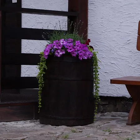 Olko House * Γιαρέμτσε