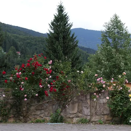 Olko House Διαμέρισμα Γιαρέμτσε