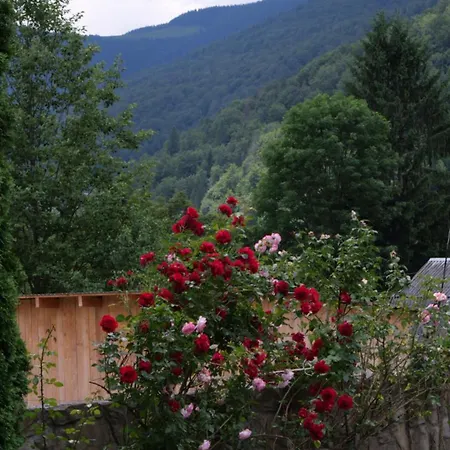 Olko House *