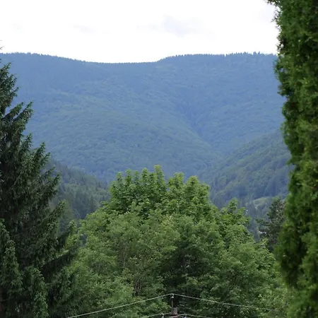 Διαμέρισμα Olko House *