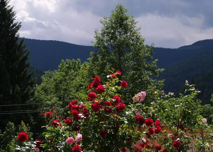 Olko House Yaremche
