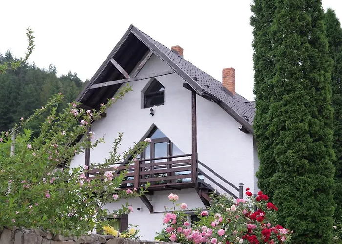 Daire Olko House *