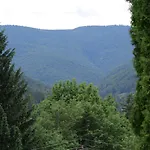 Apartament Olko House *