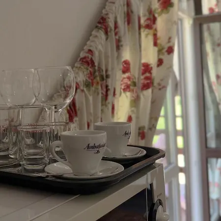 Apartment Olko House